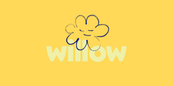 Willow  1A cover picture